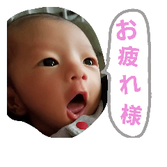 [LINEスタンプ] 碧心くん