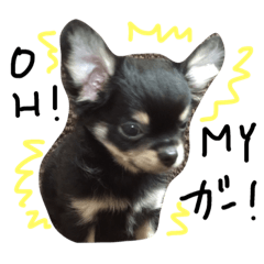 [LINEスタンプ] Lucky＆Dream3