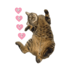 [LINEスタンプ] 飼い猫リュウの一言。