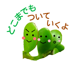 [LINEスタンプ] ぷにぷにはっぱスタンプ