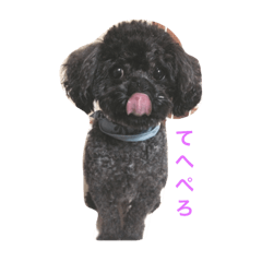 [LINEスタンプ] 松田家！