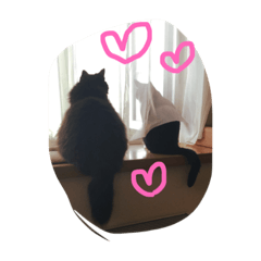 [LINEスタンプ] ミーちゃんとレオ
