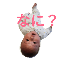 [LINEスタンプ] うちのはっくん