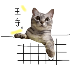 [LINEスタンプ] ねこのmieちゃん 2