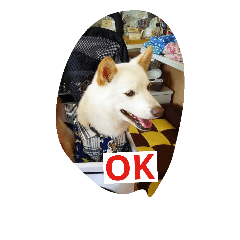 [LINEスタンプ] 小太郎 Ver.3
