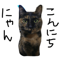 [LINEスタンプ] 錆び猫スタンプ
