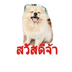 [LINEスタンプ] Khaow's family
