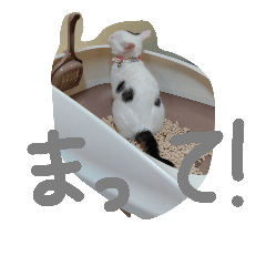 [LINEスタンプ] めぽ！