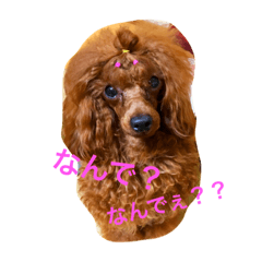 [LINEスタンプ] りっくんすたんぷ！！