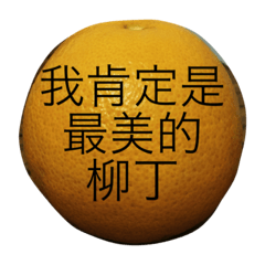[LINEスタンプ] orange's life is so good.