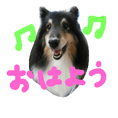 [LINEスタンプ] ラスティーとメイ時々にゃんこ