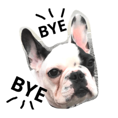 [LINEスタンプ] Elvis stumps