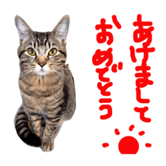 [LINEスタンプ] さく日常のアイサツ⑦