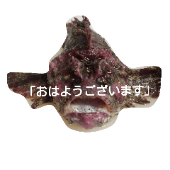 [LINEスタンプ] 挨拶のお魚さん