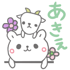 [LINEスタンプ] あきえっていう名前