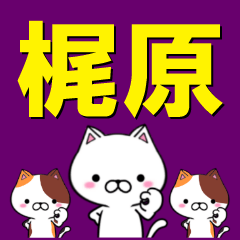 [LINEスタンプ] 超★梶原(かじはら・かじわら)なネコ