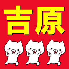 [LINEスタンプ] 超★吉原(よしはら・よしわら)なイヌ