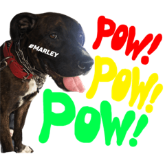 [LINEスタンプ] MARLEY #RAGGAE ver.2