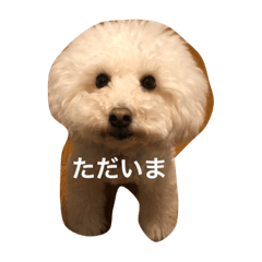 [LINEスタンプ] ぱぴぷーちゃん
