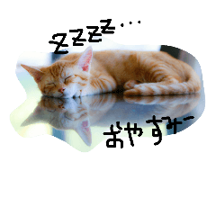 [LINEスタンプ] 猫のちくわ家族たち。