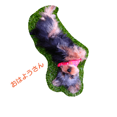 [LINEスタンプ] もこすけ