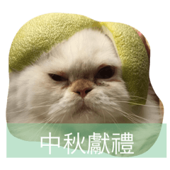 [LINEスタンプ] Moumou's wonderful life