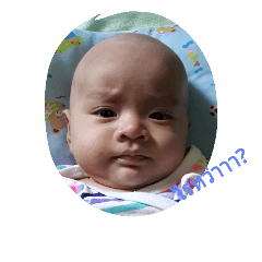 [LINEスタンプ] Meephoo happy