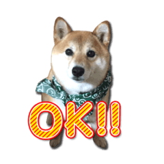 [LINEスタンプ] 犬のみゅーさま