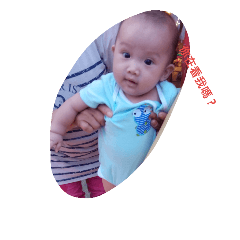 [LINEスタンプ] littlebibi