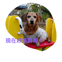 [LINEスタンプ] Don't heated it and to believe