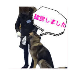 [LINEスタンプ] police dog.2