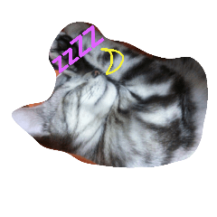 [LINEスタンプ] home  cat