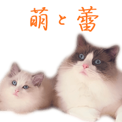 [LINEスタンプ] 萌と蕾