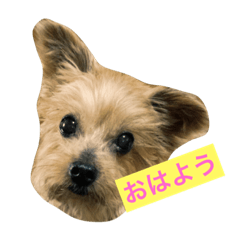 [LINEスタンプ] koukunn