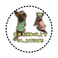 [LINEスタンプ] チワワのふう太とりん花