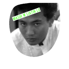[LINEスタンプ] Ronggo Panutan Qu