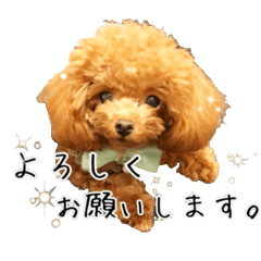 [LINEスタンプ] はなわんこ