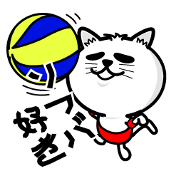 [LINEスタンプ] ソフトバレーボール好きな猫の為のスタンプの画像（メイン）