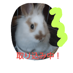 [LINEスタンプ] アレックスの笑顔
