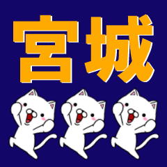 [LINEスタンプ] 超★宮城(みやぎ・みやき・みやしろ)なネコ