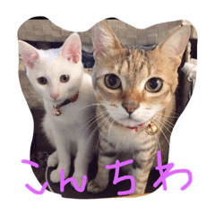 [LINEスタンプ] fujiianimalFamily 