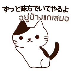 [LINEスタンプ] 猫 : ずっと味方でいてやるよ