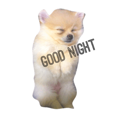 [LINEスタンプ] Doggynaa