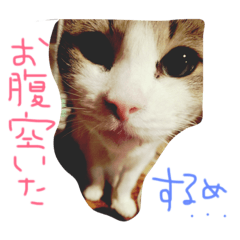 [LINEスタンプ] ホタルポポ