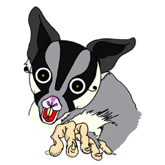 [LINEスタンプ] フクモモ“てん”の日常