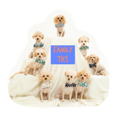 [LINEスタンプ] Eight Dogs -2015/2016-
