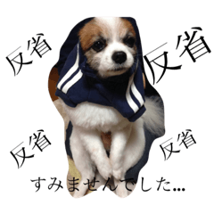 [LINEスタンプ] COCOちゃん0214