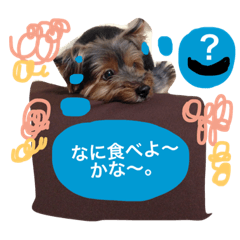 [LINEスタンプ] 可愛すぎるモカ様（わんわん）の画像（メイン）