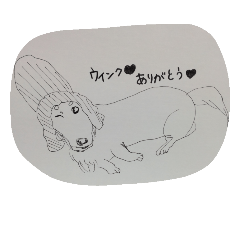 [LINEスタンプ] DOG CUTE 7