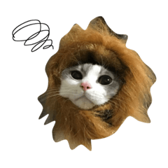 [LINEスタンプ] セナとモナ